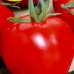 Семена детерминантных томатов