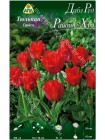 Тюльпан Дабл Ред Райдинг Худ (Tulipa Double Red Riding Hood)